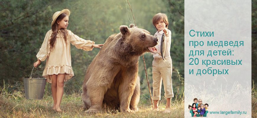 Стихи про медведя для детей
