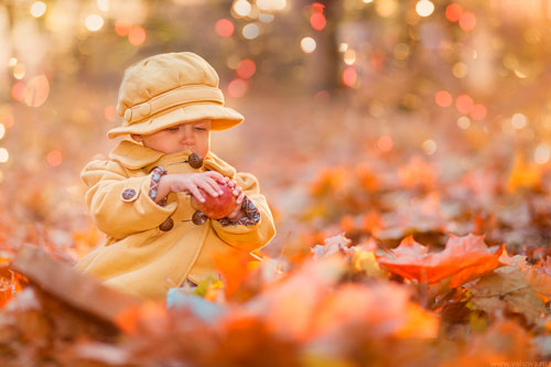 Загадки про осень для детей в детском саду