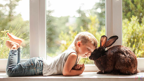 Загадки про зайца для детей с ответами