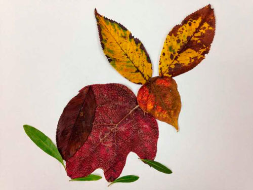 Картины из осенних листьев для детского сада: зайчик