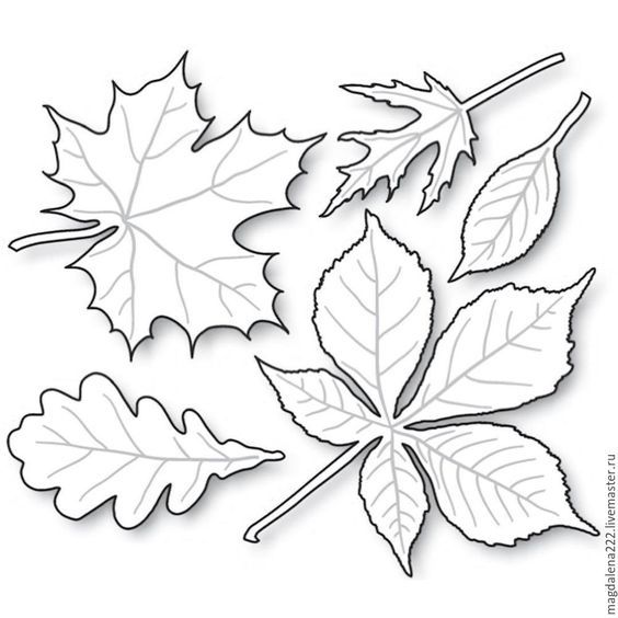 осенние листья из бумаги шаблоны для вырезания 10