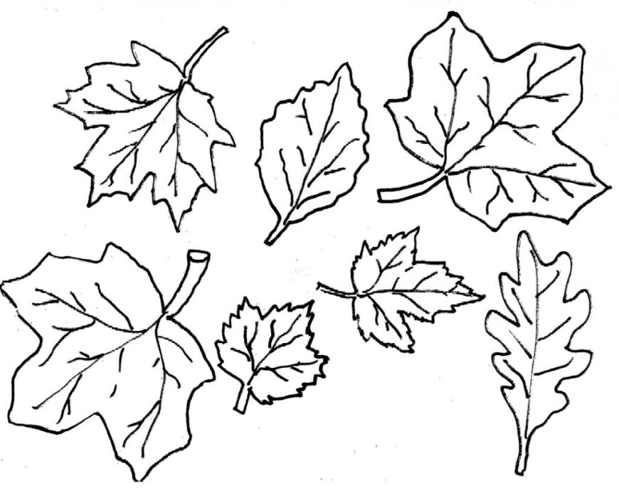 Осенние листья из бумаги 2