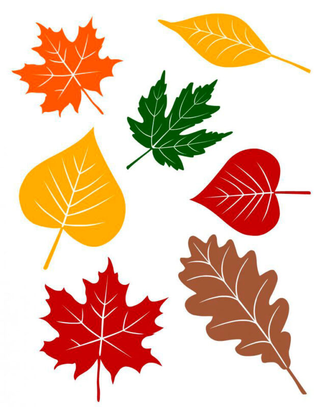 Осенние листья из бумаги 4