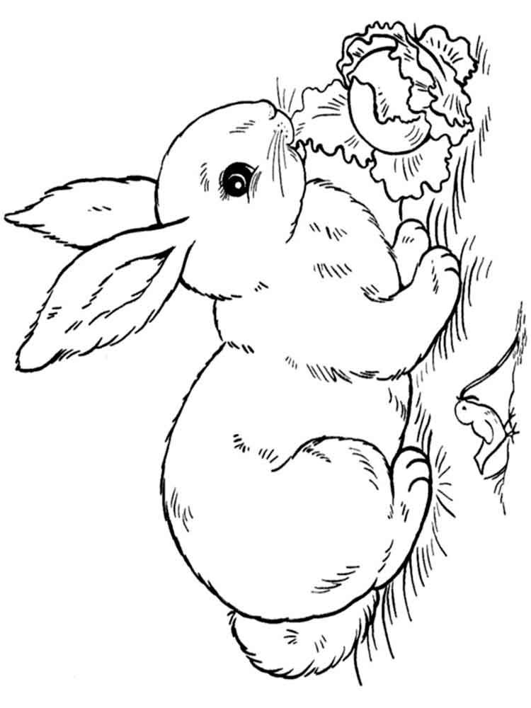 раскраска новогодний кролик для детей распечатать 9