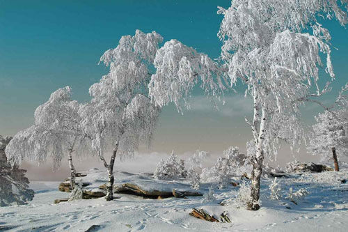 Красивые стихи про зиму Сергея Есенина