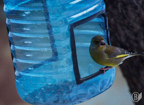 кормушка для птиц своими руками из бутылки 9