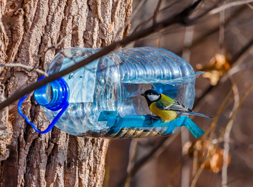 кормушка для птиц своими руками из бутылки 5 литров 2